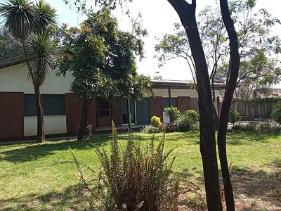 (Old + Great) Villa, (Front + Back) Garden, at Megenagna.
