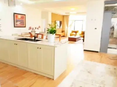 4 Bedroom Penthouse Apartment — Bole_24, Bole, Addis Ababa