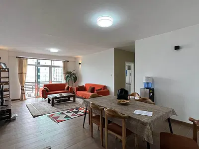 Well-Lit Furnished Apartment in Bole — Bole, Addis Ababa