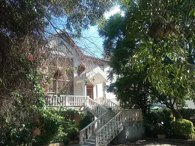 Great House, Big Balconies, Coffee and Avocado Trees! — Yeka, Addis Ababa
