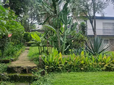 Garden Paradise Home -- Old Airport — Nifas Silk-Lafto, Addis Ababa