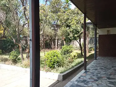 (Old + Great) Villa, (Front + Back) Garden, at Megenagna. — Bole, Addis Ababa
