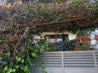 Elegant & Spacious 2-Bedroom Apartment — Bole, Addis Ababa