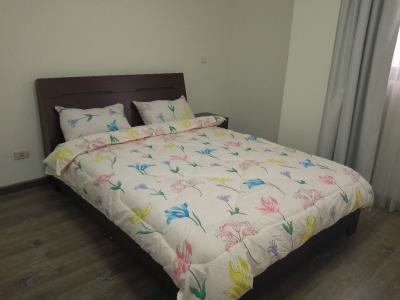 2 Bedroom Apartment in Old Airport/bisrate Gabriel, Bisrate Gabriel ,old Airport, Lideta, Addis Ababa, Apartment for Rent
