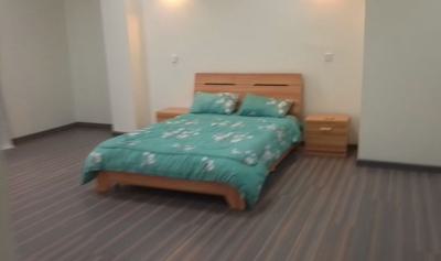 3 Bedroom Furnitured Apartment ,bisrate Gabriel,sarbet, Libiya Street ,bisrate Gabriel/sarbet, Lideta, Addis Ababa, Apartment for Rent