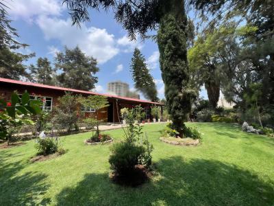 Garden Paradise House -- Meskel Flower, Kirkos, Addis Ababa, House for Rent