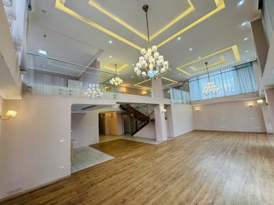 As Pretty As a Picture 3 Bedroom Duplex Penthouse, Adjacent to Bole Road, Bole, Addis Ababa, Apartment for Rent