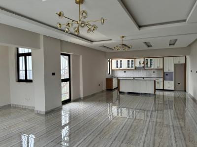 Well Kept 3 Bedroom Apartment, Meskel Flower, Kirkos, Addis Ababa, Apartment for Rent