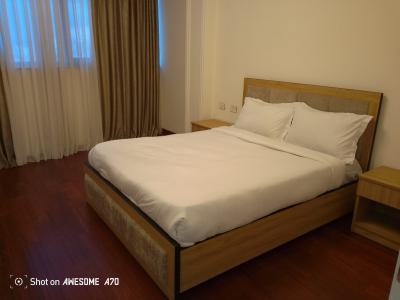 Luxury 3 Bedroom Apartment at Welo Sefer, Welo Sefer,ethio China Street, Bole, Addis Ababa, Apartment for Rent