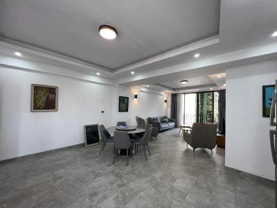 Bright Furnished Apartment at Welosefer, Kirkos, Addis Ababa, Apartment for Rent