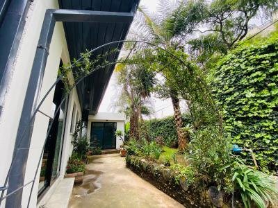 Newly Renovated Villa in Bole, Bole, Addis Ababa, House for Rent