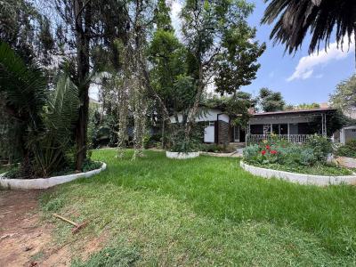 Garden Paradise 3 Bedroom Villa, Lideta, Lideta, Addis Ababa, House for Rent