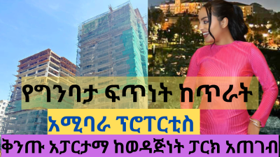 Luxury Homes in Ethiopia, Filwuha / Amibara Properties, Arada, Addis Ababa, Apartment for Sale