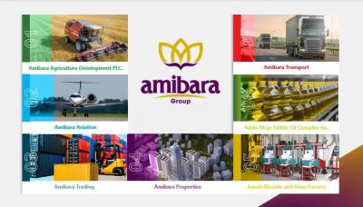 Luxury 1 Bedroom Apartment, Filwuha / Amibara Properties, Arada, Addis Ababa, Apartment for Sale