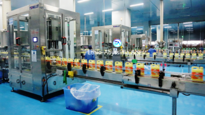 የሳሙና, ላርጎ እና ጀሪካን ፋብሪካ ሽያጭ (soap, Detergent and Jerrycan Factory), Kality, Akaky Kaliti, Addis Ababa, Factory for Sale