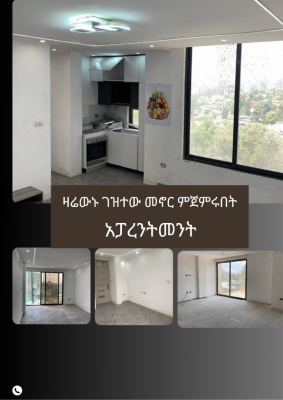 Fully Finished Onebedroom Apartment, Signal / Addis Ababa/ Ethiopia, Bole, Addis Ababa, Mini Flat for Sale