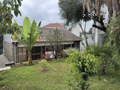 Spacious 3 Bedroom Ground Villa, Yeka, Bole, Addis Ababa, House for Rent