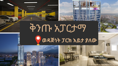 Real Estates in Ethiopia, Filwuha / Amibara Properties, Arada, Addis Ababa, Apartment for Sale