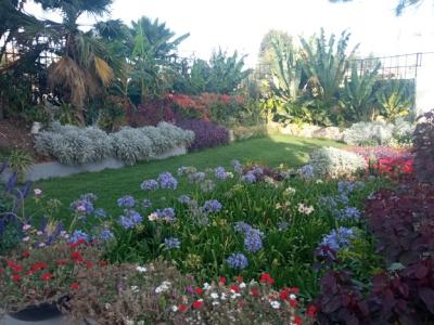 Bright and Fully Furnished 2bd Apartment + Great Garden!, Bole, Addis Ababa, Apartment for Rent