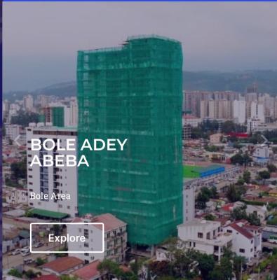 Luxury 1 Bedroom Apartments with Excellent Amenities, Bole / Dema Hope Real Estate, Bole, Addis Ababa, Apartment for Sale
