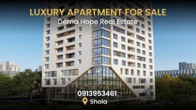 Safe and Profitable Property in Addis Ababa -ideal for Diaspora Buyers, Shola / Dema Hope Real Estate, Yeka, Addis Ababa, Apartment for Sale
