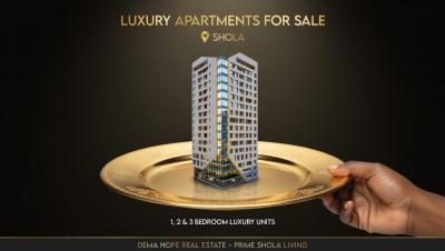 Addis Ababa Real Estate - Shops in Prime Areas, Shola / Dema Hope Real Estate, Yeka, Addis Ababa, Shop for Sale