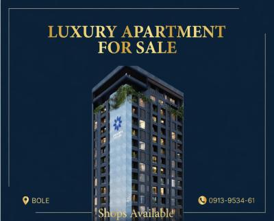 Buy Property in Ethiopia for Diasporas- Luxury 2br in Prime Location, Bole / Dema Hope Real Estate, Bole, Addis Ababa, Apartment for Sale