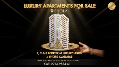 Luxury Apartment in a Prime Location - Ideal for Diaspora Buyers, Shola / Dema Hope Real Estate, Yeka, Addis Ababa, Apartment for Sale