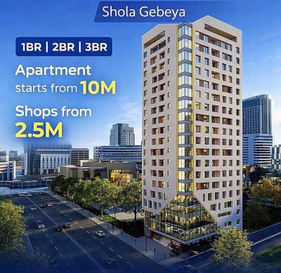 Real Estate Apartments in a Prime Location, Shola / Dema Hope Real Estate, Yeka, Addis Ababa, Apartment for Sale