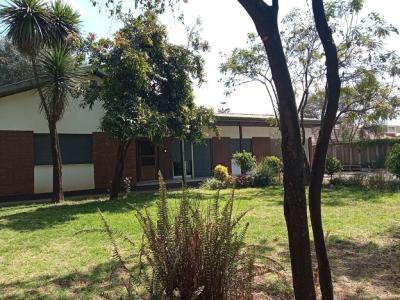 (old + Great) Villa, (front + Back) Garden, at Megenagna., Bole, Addis Ababa, House for Rent