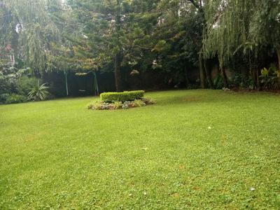 a Nice 3bd House with Beautiful Garden, Ayat., Ayat, Addis Ababa, House for Rent