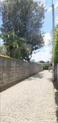 Bulgaria , Old Villa House .....800sqm, Bulgaria, Kirkos, Addis Ababa, Land for Sale