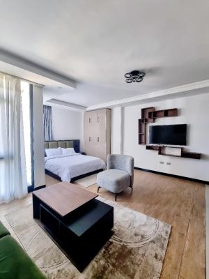 Bright Studio Apartment -- Near Giz / Uneca (kazanchis), Kirkos, Addis Ababa, Apartment for Rent